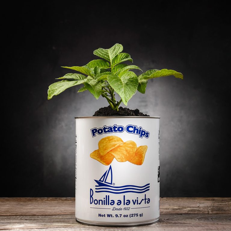 Fotografía de producto Sabón, lata patatas Bonilla